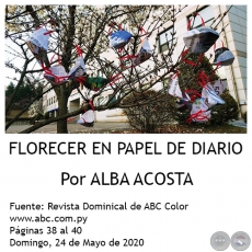 FLORECER EN PAPEL DE DIARIO - Por ALBA ACOSTA - Domingo, 24 de Mayo de 2020